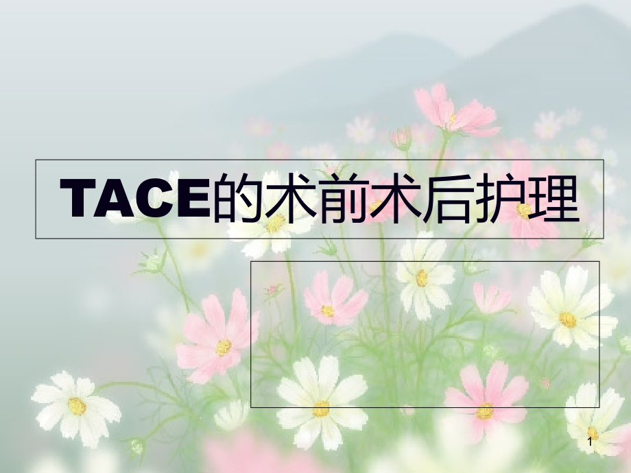 TACE护理演示ppt课件_第1页