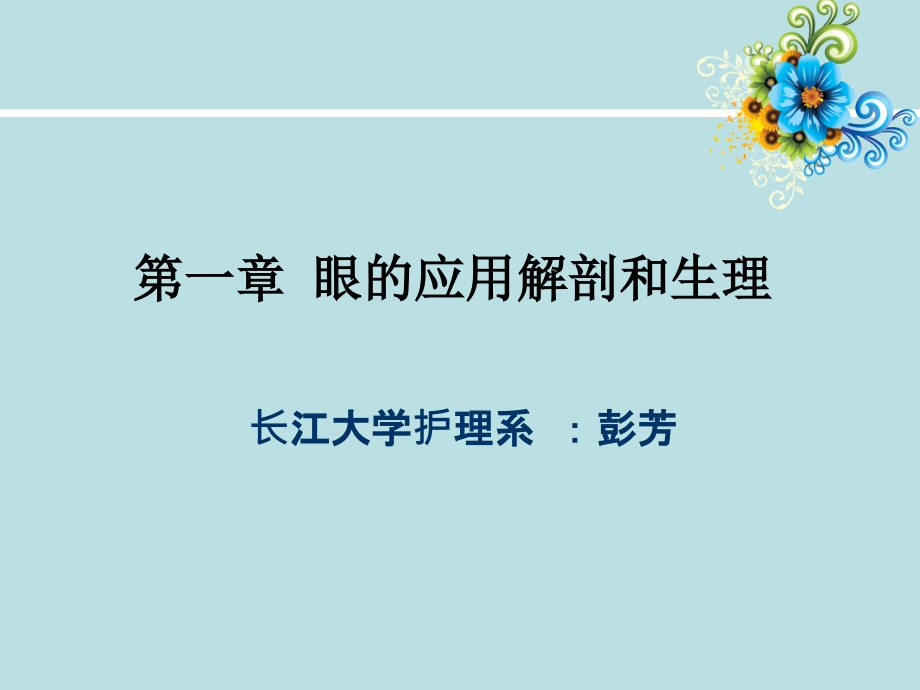 眼的应用解剖和生理课件_第1页