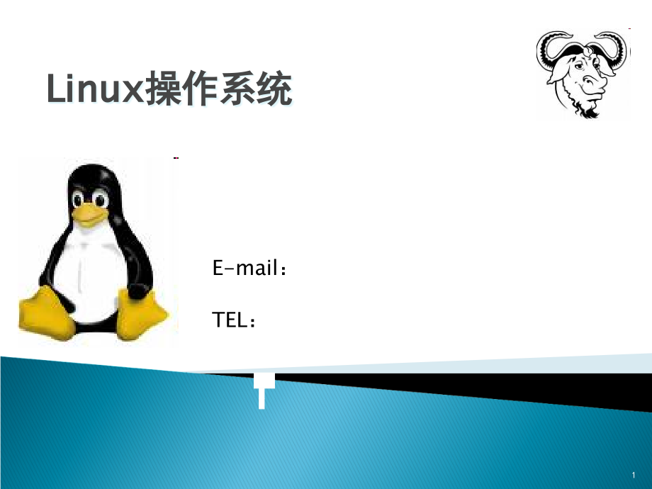 linux常用命令课件_第1页