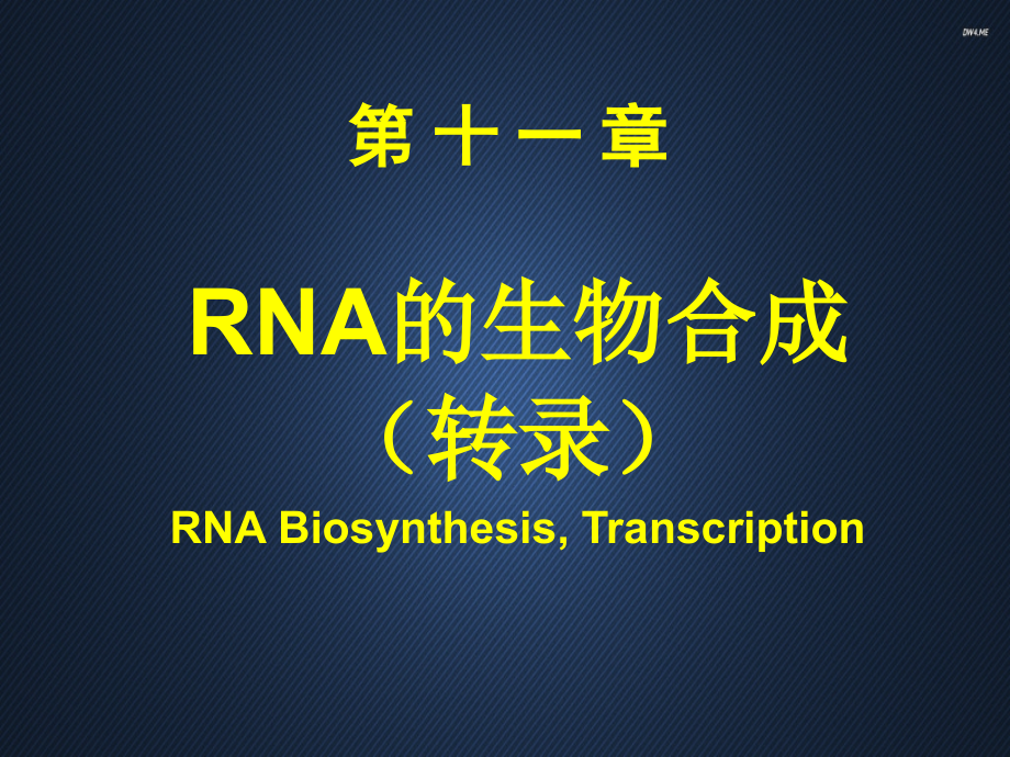 RNA的生物合成课件_第1页