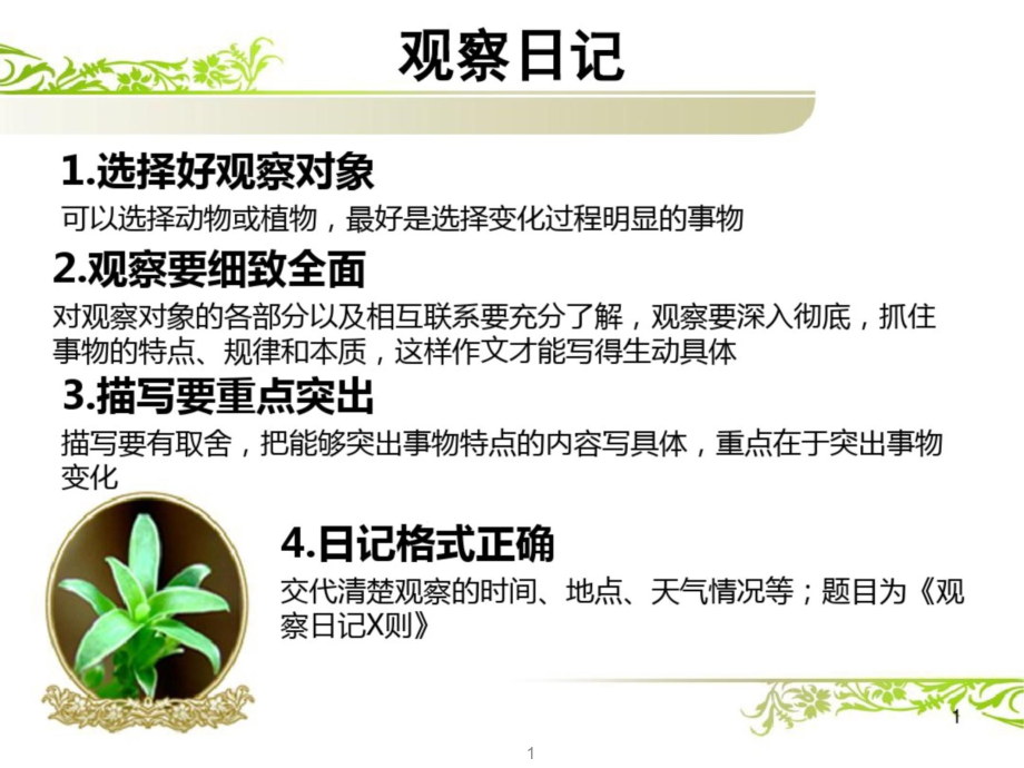 绿豆芽观察日记课件_第1页