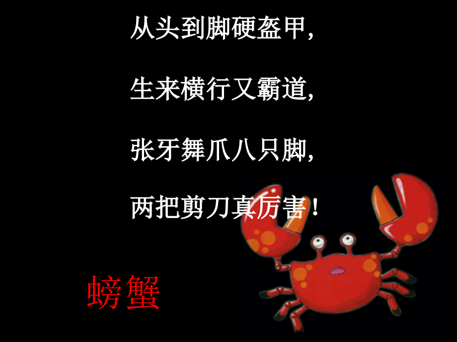 《笨拙的螃蟹》课件_第1页