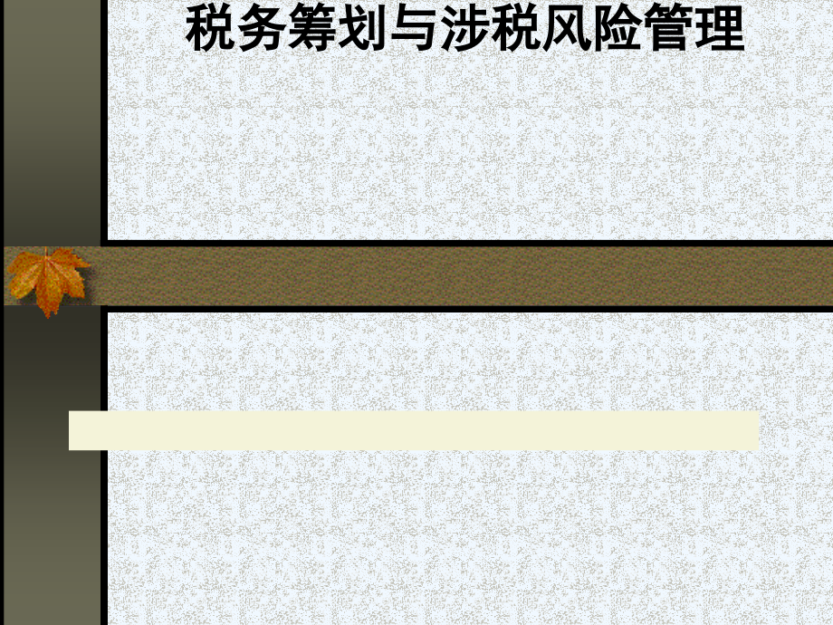 税务筹划与风险(概述)yi课件_第1页