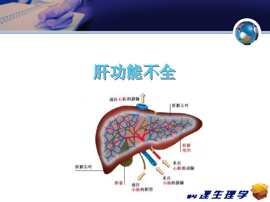 病理学与病理生理学肝功能不全-课件_第1页