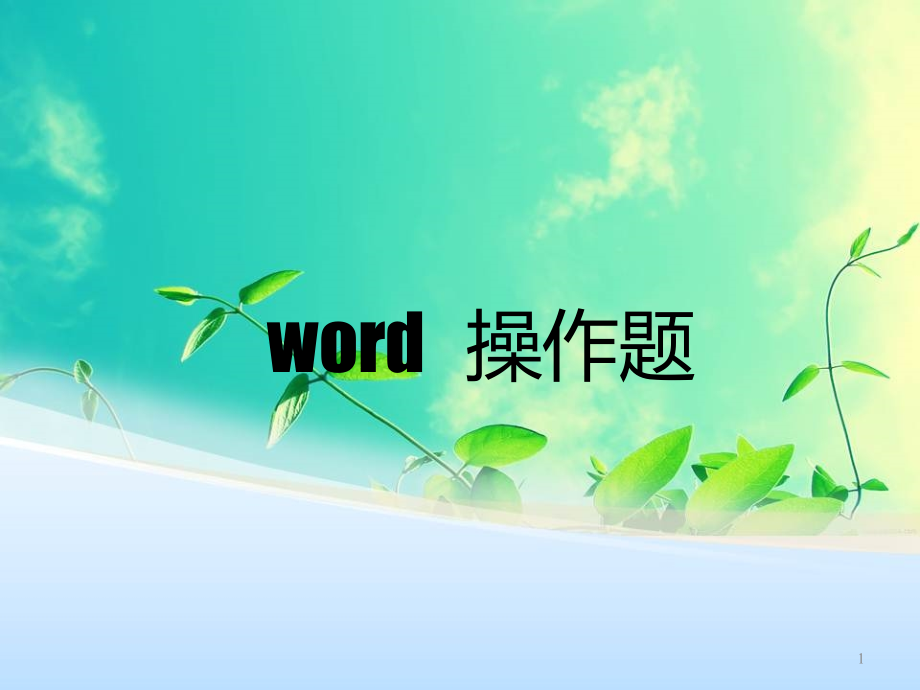 word操作题分析课件_第1页