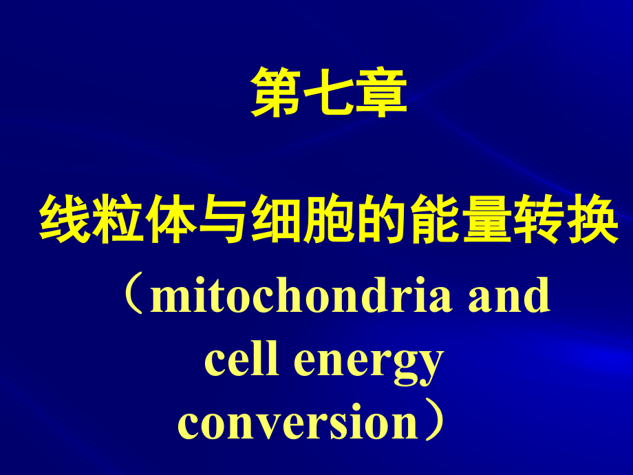 第七章-线粒体与细胞的能量转换课件_第1页