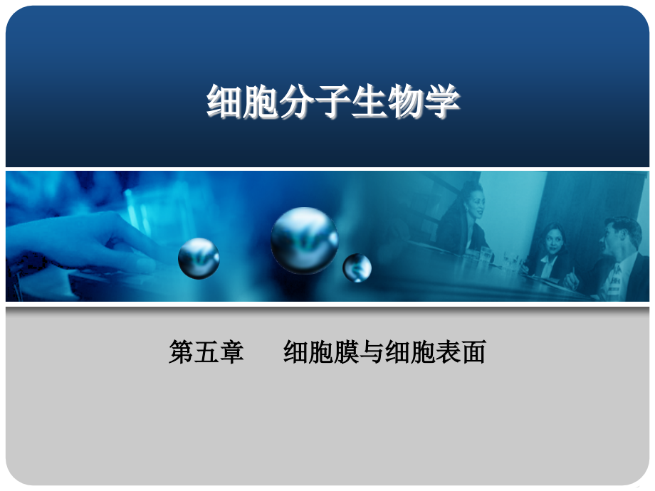 细胞膜及其细胞表面资料课件_第1页