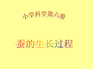 蠶的生長(zhǎng)過(guò)程 (2)課件