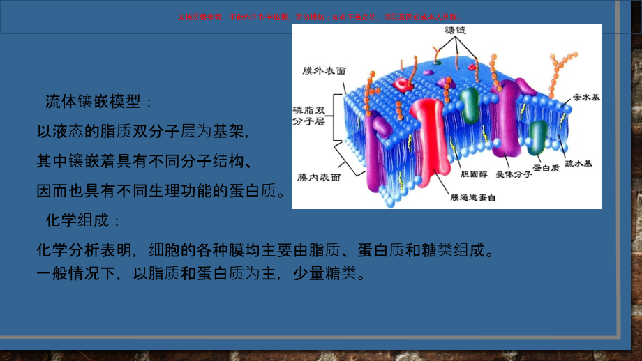 细胞膜结构和功能课件_第1页