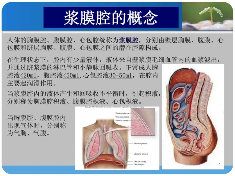 胸腔穿刺腹腔穿刺课件_第1页