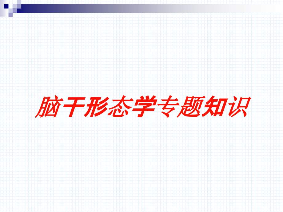 脑干形态学专题知识培训课件_第1页