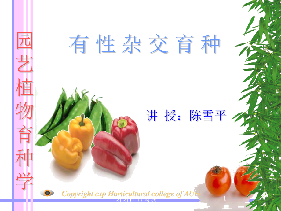 园艺植物育种学课件_第1页