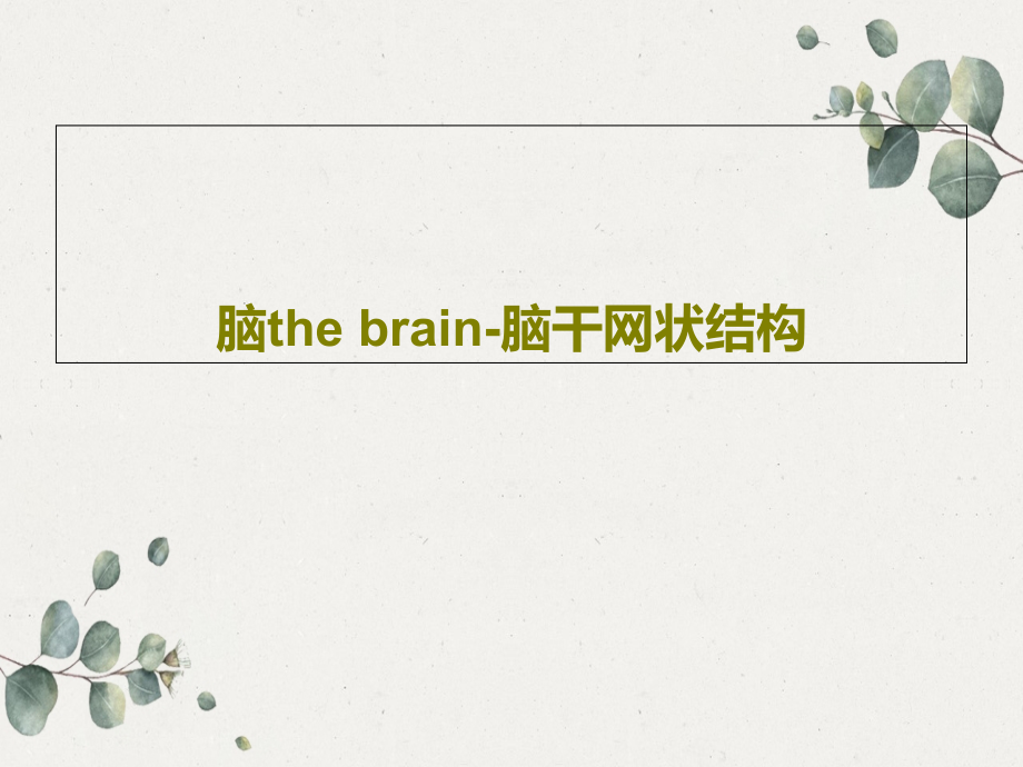 脑the-brain-脑干网状结构教学课件_第1页