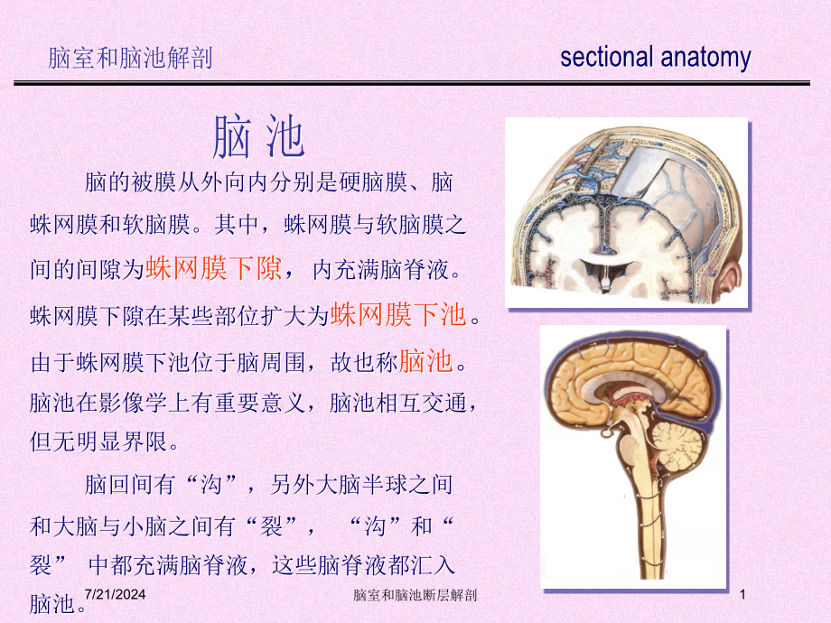 脑室和脑池断层解剖培训课件_第1页