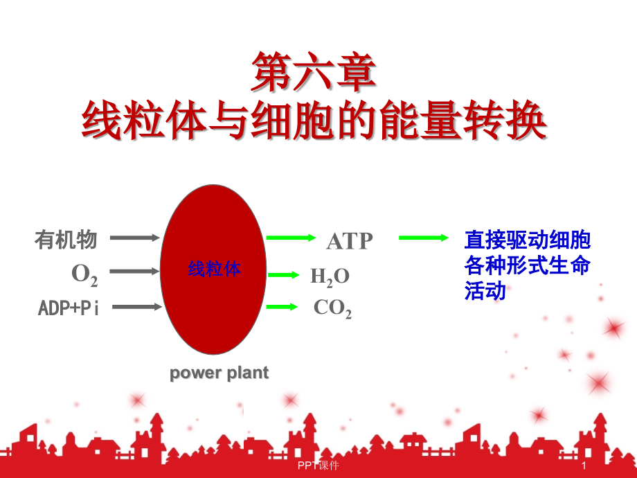 线粒体与细胞的能量转换--课件_第1页