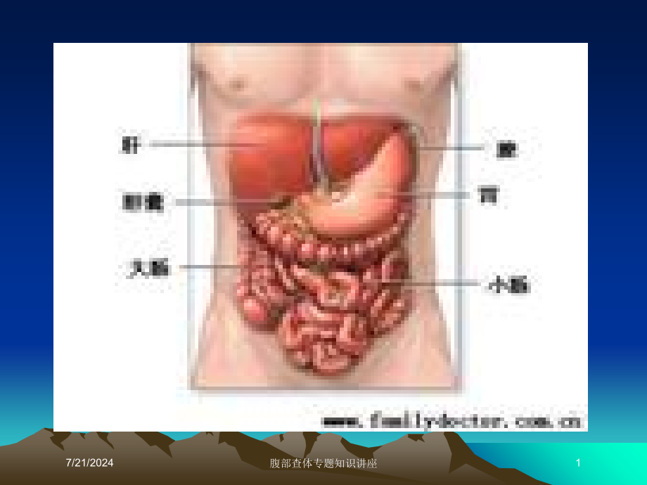腹部查体专题知识讲座培训课件_第1页
