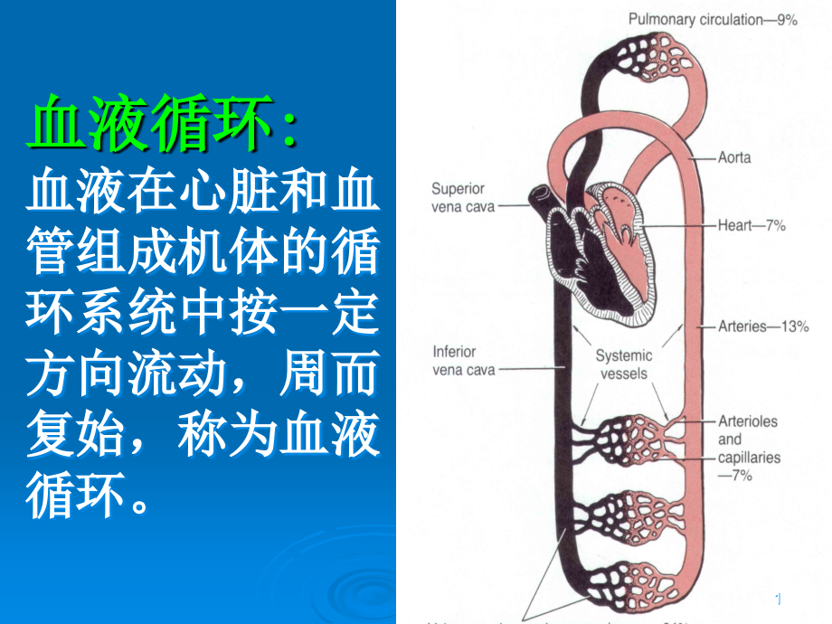 血液循环彩色课件_第1页