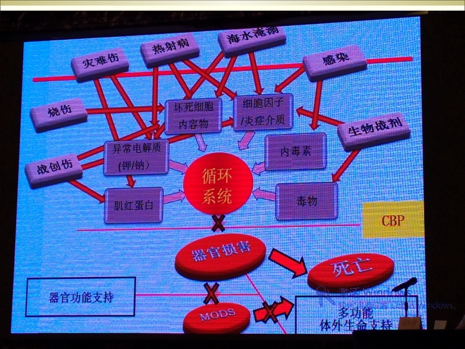 血液净化应知应会教学课件_第1页