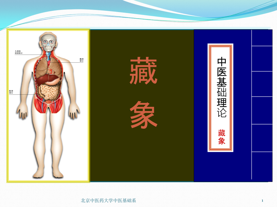 藏象学说-五脏脾课件_第1页