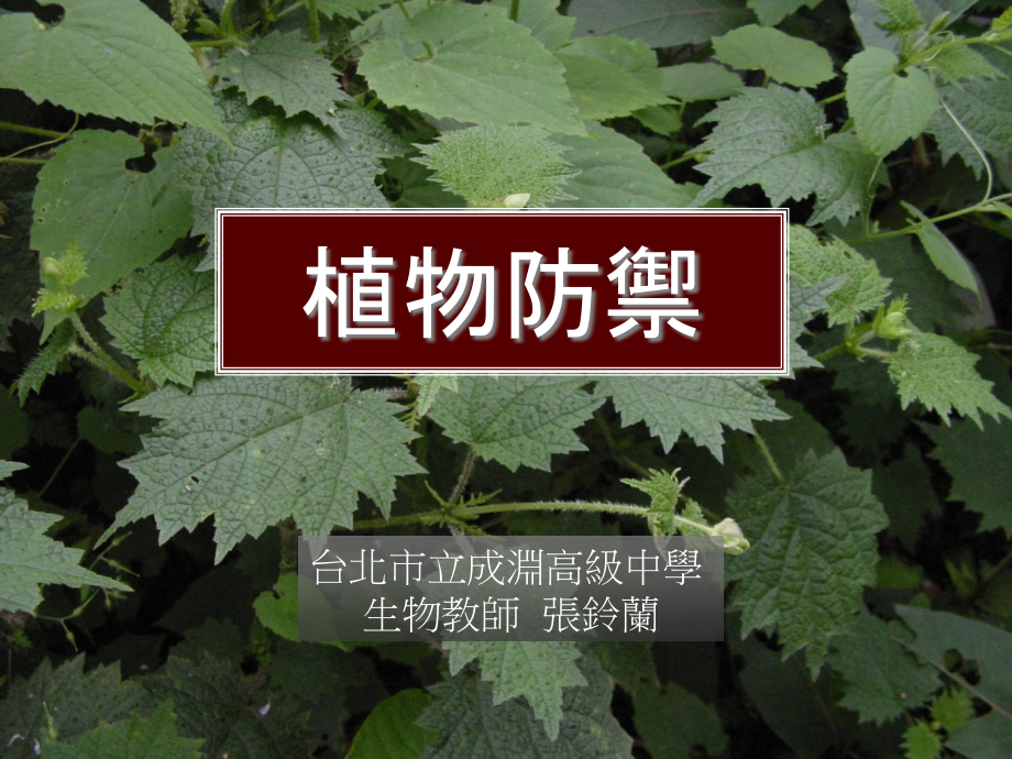 植物面对病虫害的防御机制课件_第1页