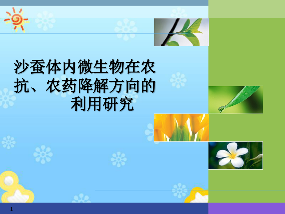 沙蚕体内微生物在农抗、农药降解方向的利用研究课件_第1页