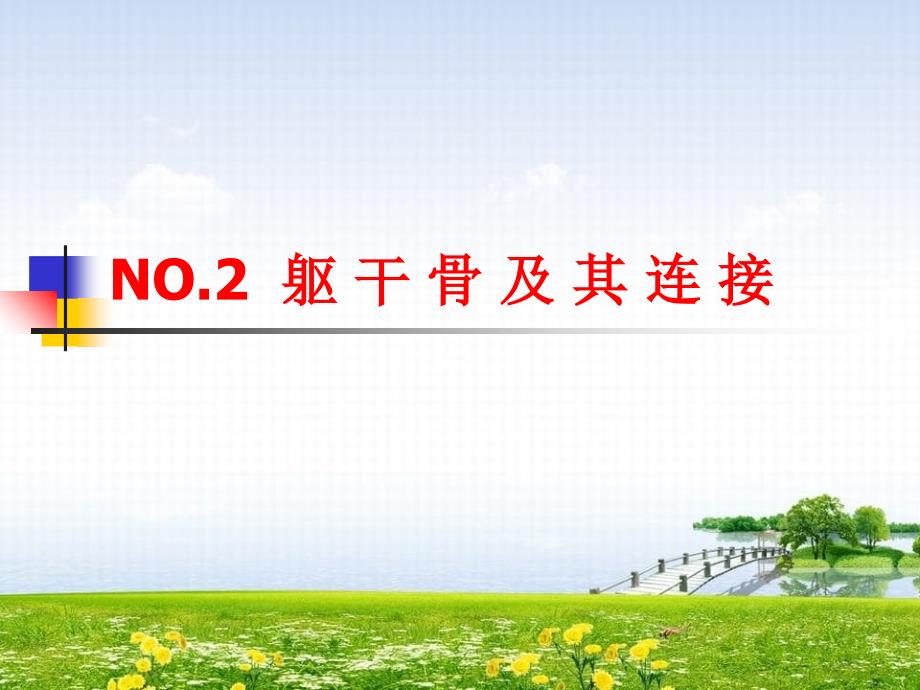 NO2軀干骨及其連接_第1頁