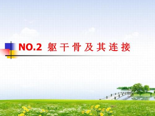 NO2軀干骨及其連接