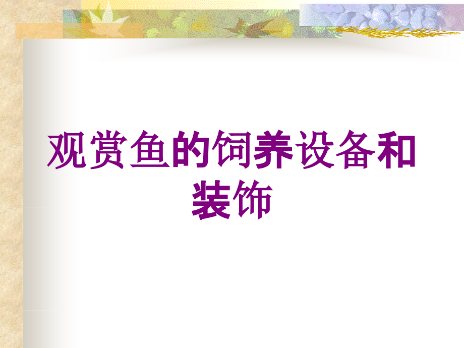 观赏鱼的饲养设备和装饰培训课件_第1页