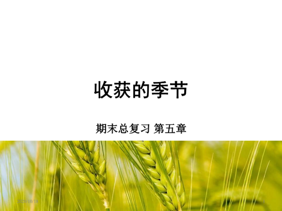 -平行线与相交线期末复习优选课件_第1页