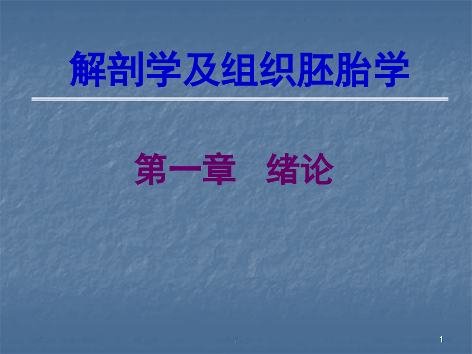 解剖学及组织胚胎学绪论课件_第1页