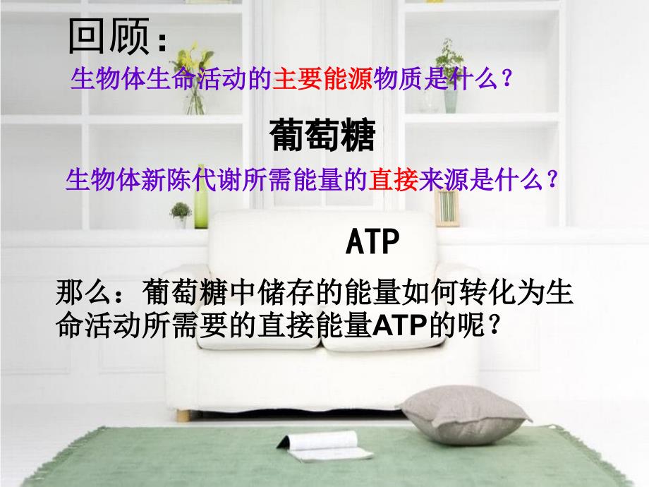 ATP的主要来源──细胞呼吸用概述_第1页