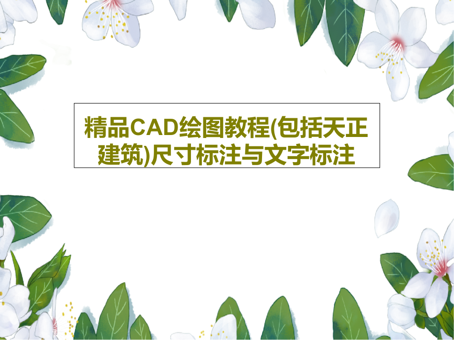 CAD绘图教程(包括天正建筑)尺寸标注与文字标注共课件_第1页