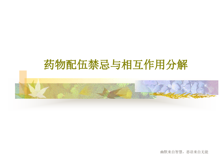 药物配伍禁忌与相互作用分解教学课件_第1页