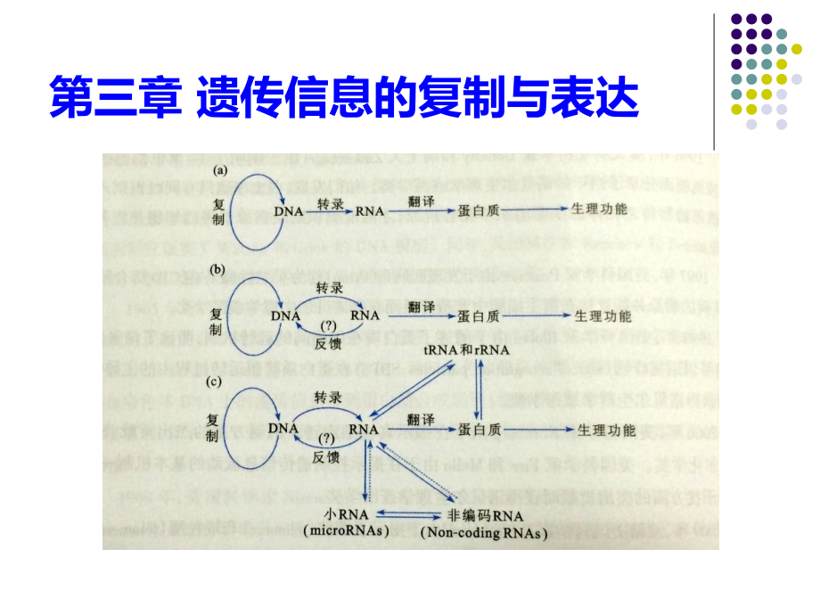 第三章DNA双螺旋结构_第1页