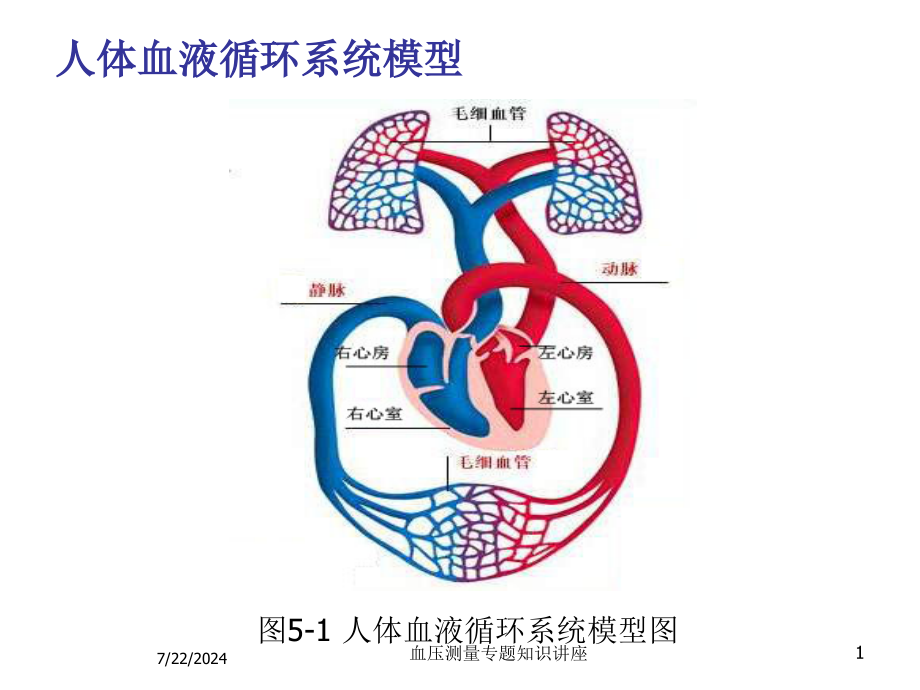 血压测量专题知识讲座培训课件_第1页