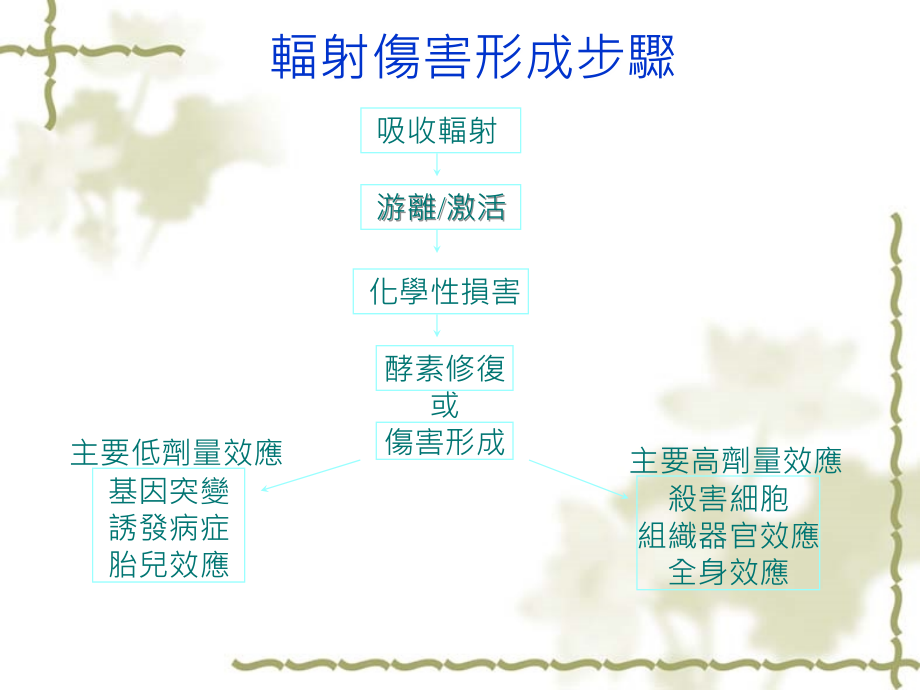 辐射对生物体的影响课件_第1页