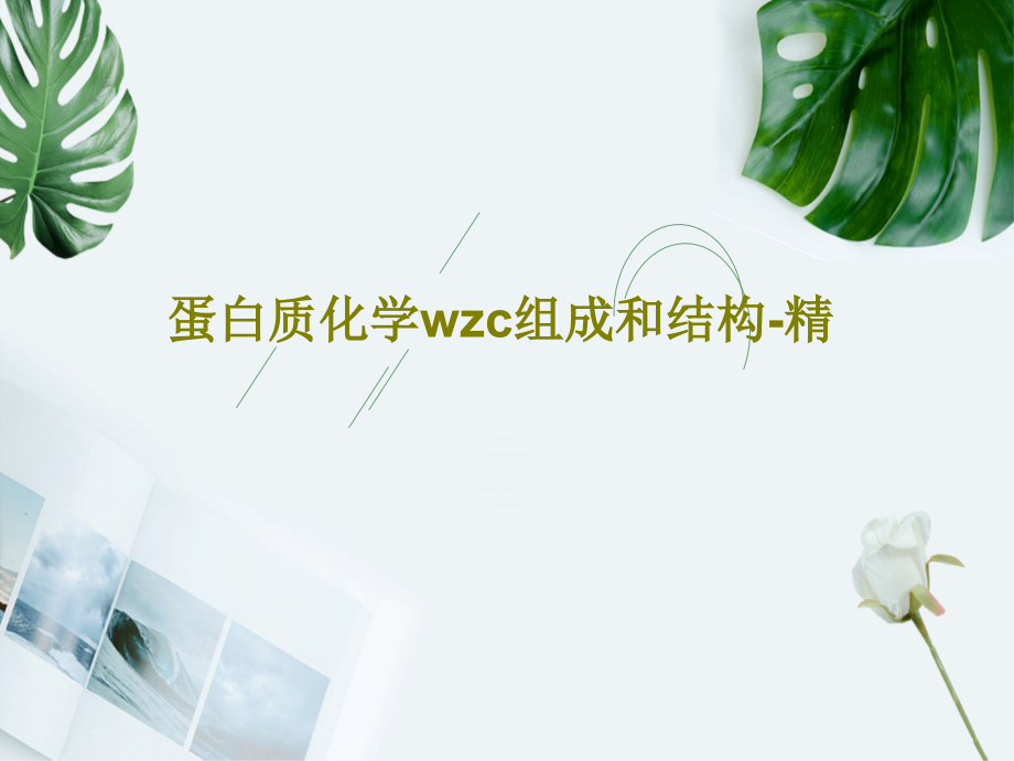 蛋白质化学wzc组成和结构-精教学课件_第1页