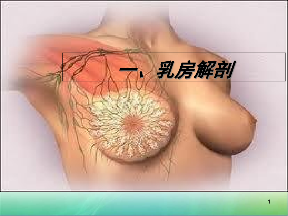 乳房护理-课件_第1页