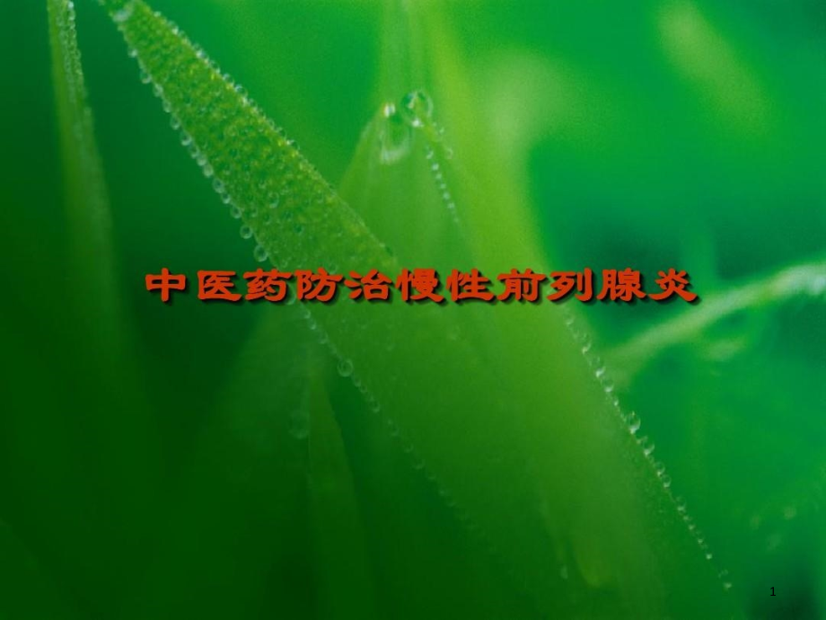 中医药防治慢性前列腺炎课件_第1页