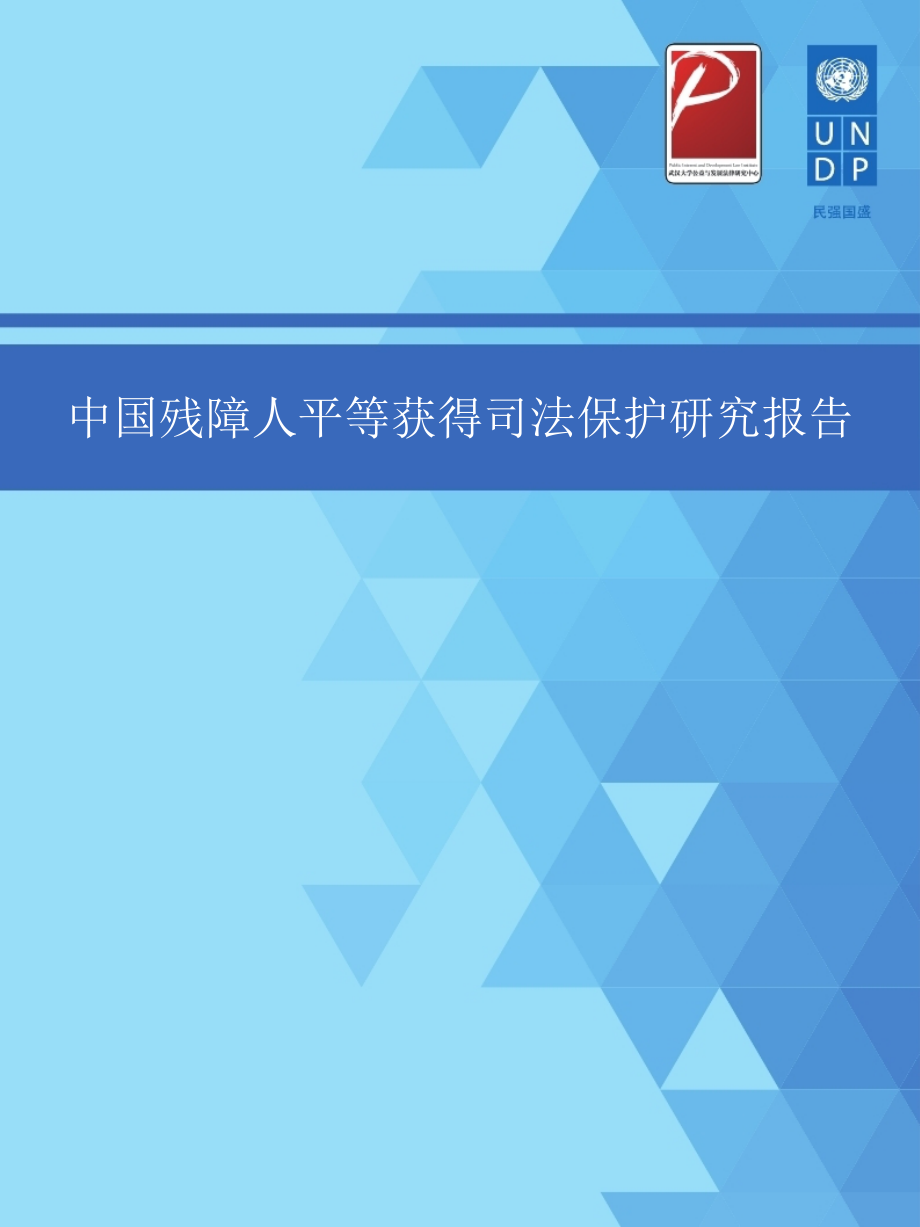 中国残障人平等获得司法保护研究报告_第1页