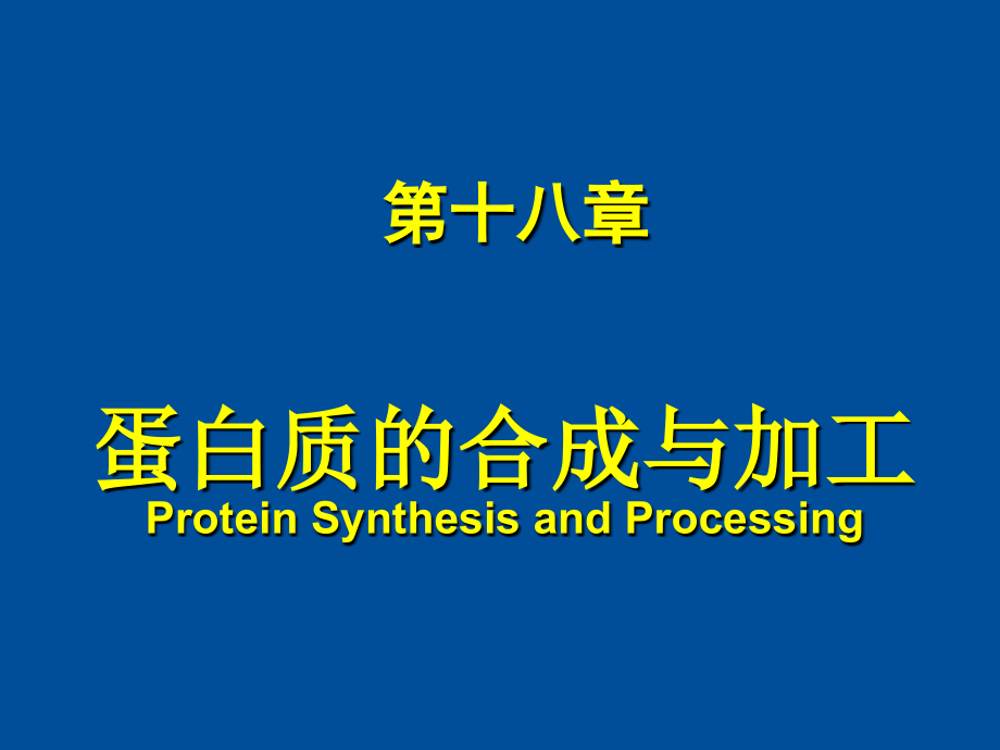 蛋白质合成与加工翻译教学课件_第1页