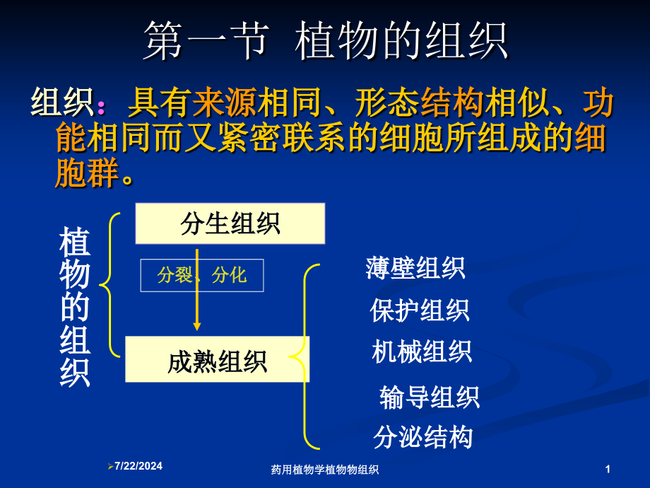 药用植物学植物物组织培训课件_第1页