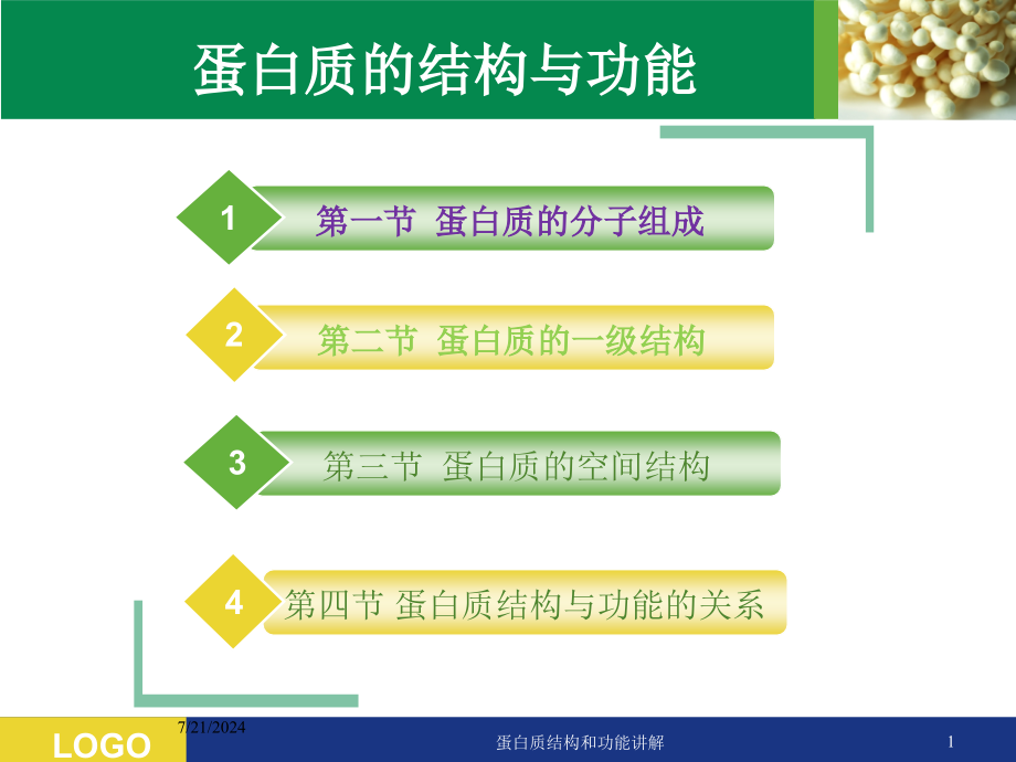 蛋白质结构和功能讲解培训课件_第1页