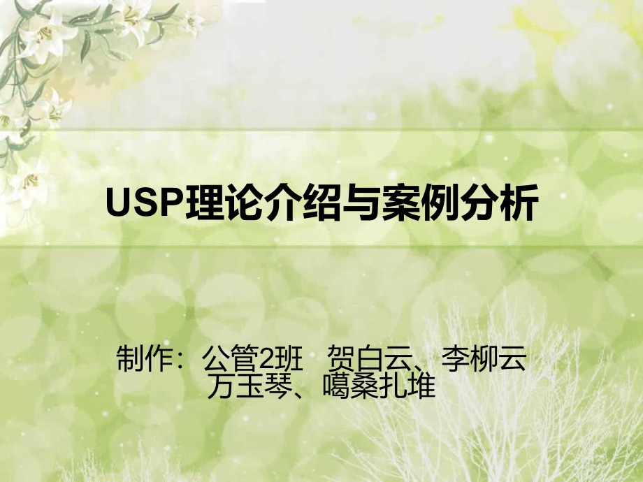 USP理论介绍与案例分析(新)课件_第1页