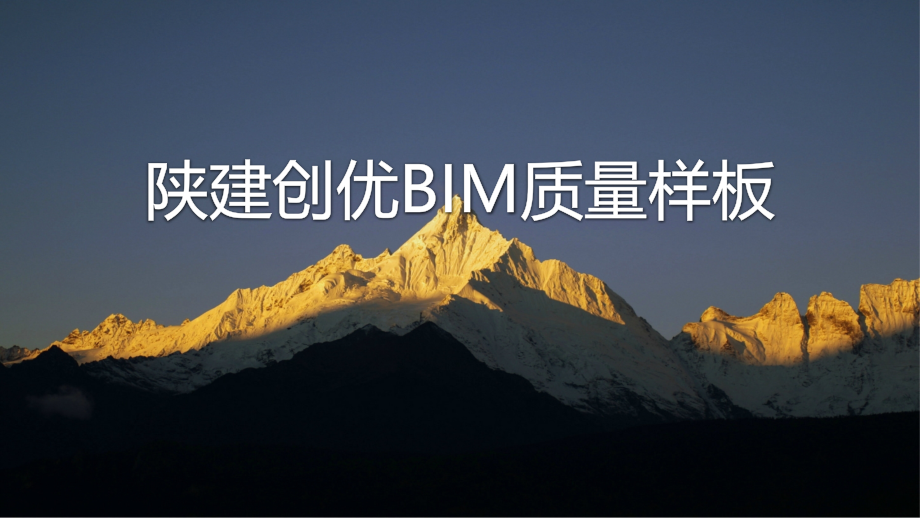 项目创优BIM质量样板课件_第1页