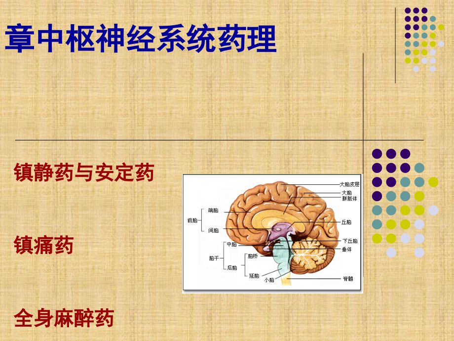 药理学第三章中枢神经系统药理课件_第1页