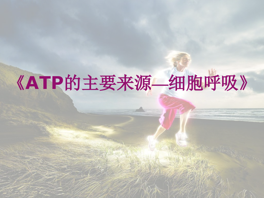 《ATP的主要來源-細(xì)胞呼吸》說課稿_第1頁