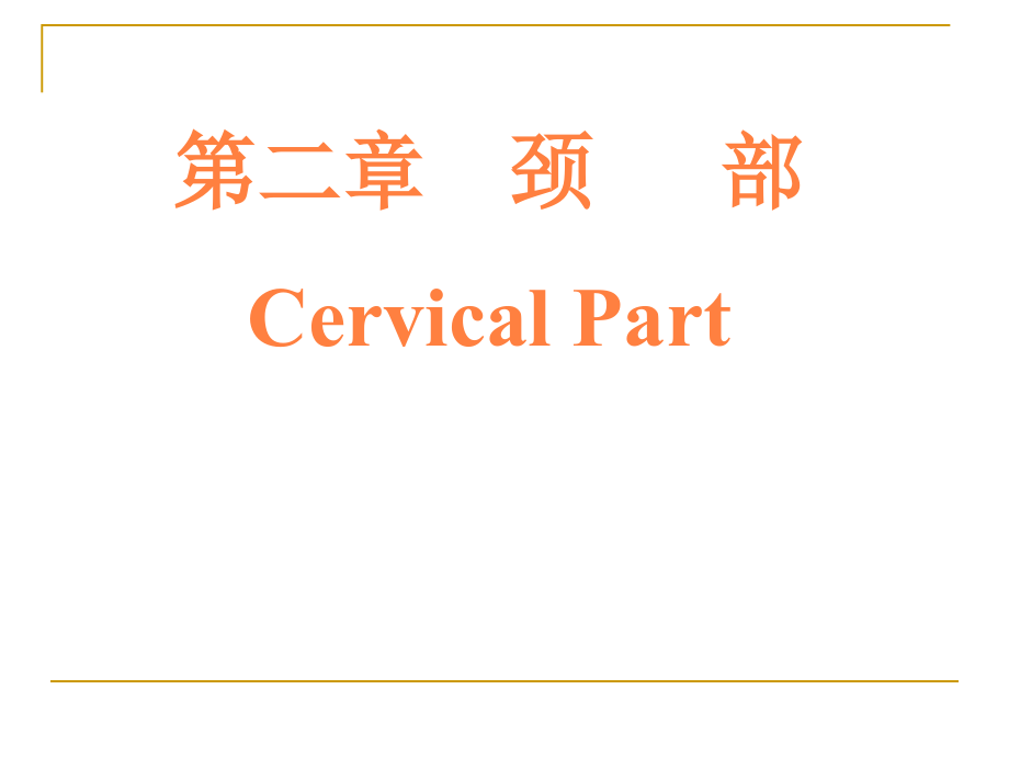 解剖课件颈部课件_第1页