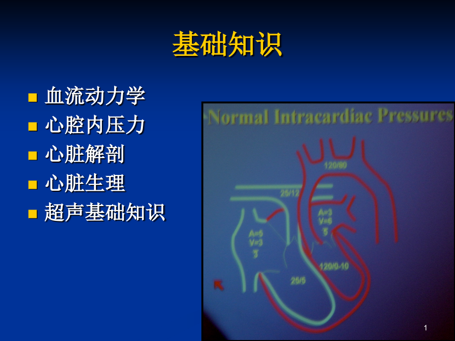 血流动力学心腔内压力心脏解剖心脏生理超声基础知识课件_第1页