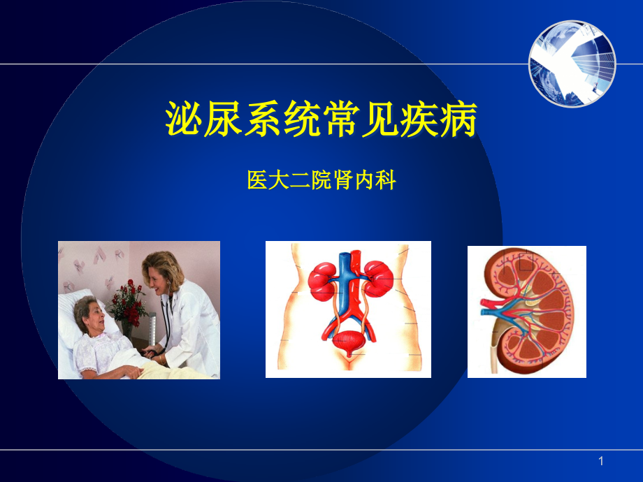 肾内科相关基础知识-课件_第1页